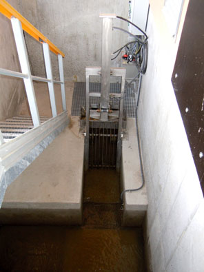 Hrubé česle Hydrorax